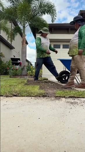 Sod Installation Transformation by Top Lawn Pros | Full Grass Replacement | Valrico