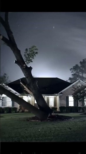Huge Tree Collapses During Night Storm #storm