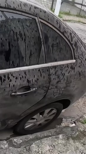 R$12.500 num leilão por um Citroën C4 Pallas com 35 mil km. O verniz do capô e do teto estava destruído por anos de água de calha pingando no galpão. Repintura sairia uns 10 mil. Total: R$15.500, e a tabela passa de R$32 mil. Quanto você pagaria nele? 👇 #leilao #c4pallas #citroen #restauracao #carros