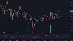 clip-1105759683-screen-capture-stock-chart-crypto-insights-investment