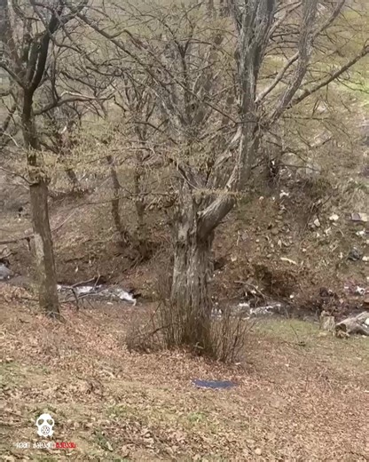 წოდორეთი - სამშენებლო ნაგავს ყრიან მდინარეში ❗️