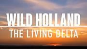 Holanda salvaje: 1- El delta viviente