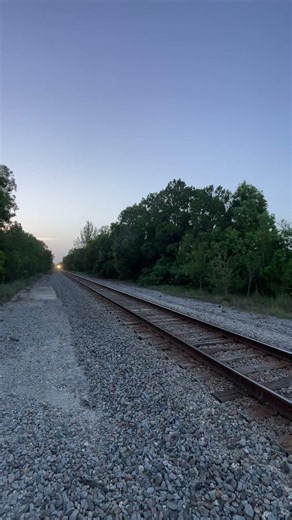Now Approaching Full Speed AMtrak Silver Meteor
