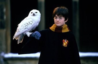 Harry Potter Y La Piedra Filosofal Película Completa En Vivo En Español Latino Gratis | Hard gold