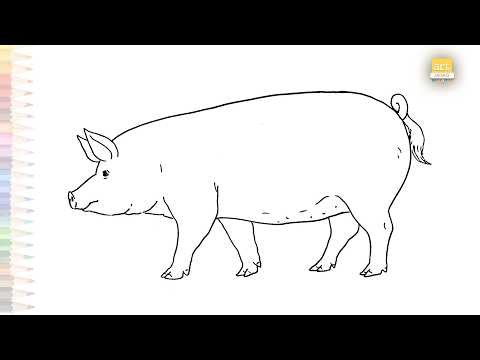 Pig outline sketches | Animal outline drawings | How to draw A Pig step by step simply | #artjanag