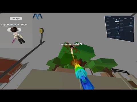 Raiding in Dee hood with matrix slient aim