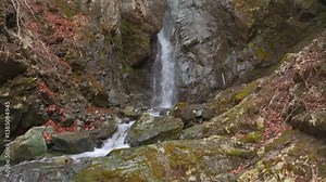 したから見上げる 相模原市早戸大滝の雄大な風景