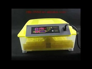 HHD Automatic 48 egg incubator introduction and operation YZ8-48