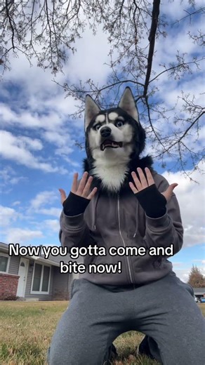 Coming out FEB 23! #therian #therianthropy #song #release