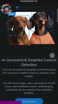 How to Check if a Video Is AI Generated 🤖