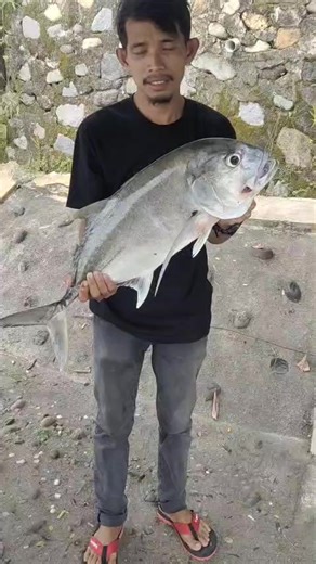 ngeri sunuah lagi punya cerita, kembali diselamatkan 2 raksasa sunuah GT dan blackbass 👍👍 ( sunuah gacor ) #matapancing #hobimancing #salamstuhobi💪🔥 #mancingmania #GT
