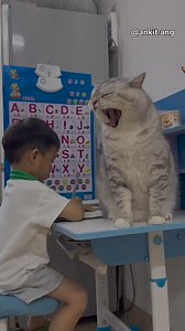 Uninstall kardu 😂😂😂 Follow for more 😂 #bagadbilla #angvines #memes #fyp #reels #trend #facebook #instagram #viral | Ankit Rajput