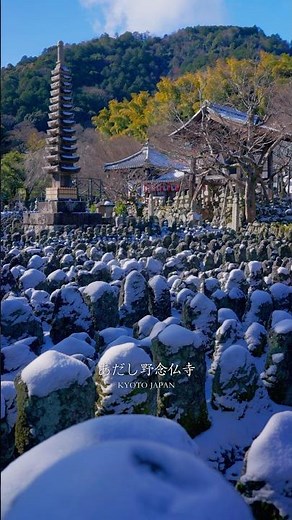 現世の極楽浄土⁉︎ 雪の中の石仏たちが神秘的すぎた！ あだし野念仏寺 Adashino Nenbutsuji Temple