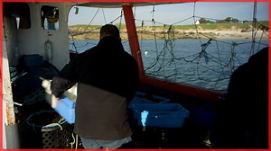 25K views | En 2018, une start-up a voulu révolutionner le monde de la pêche avec une idée originale : se faire livrer des produits pêchés le matin même.  | Golden TV | Facebook