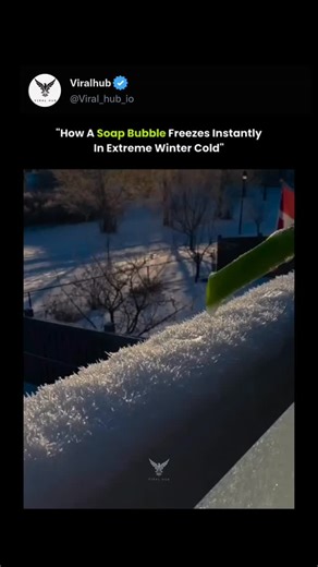 Viral Hub on Instagram: "In extreme winter cold, soap bubbles freeze through a unique physical process called "Marangoni freezing". While droplets typically freeze from a single front, bubbles can exhibit a "snow-globe effect" where hundreds of ice crystals swirl through the film before it solidifies entirely. The Freezing Process Layered Freezing: A bubble consists of a thin water layer sandwiched between two layers of soap molecules. The middle water layer is what actually freezes, forming cry