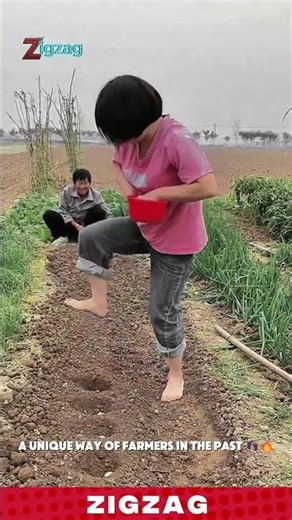 Simple & Creative Traditional Method for Planting and Seed Sowing in Rural Farming