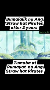 670K views · 14K reactions | One Piece (part 1) After 2 years Magsasama sama na uli Ang straw hat Pirates #reunited #imposter | Anime TV | Facebook