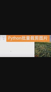 14.Python批量裁剪图片