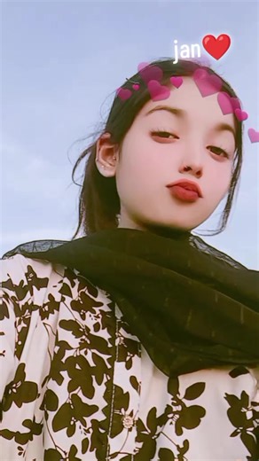 What Jan Heart's Stickers Mean