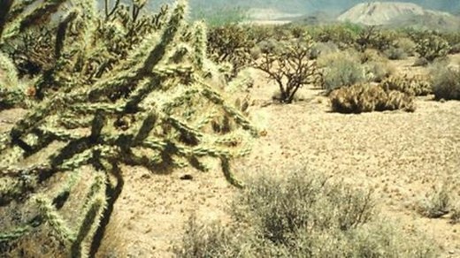 Schätze der Welt: Taos Pueblo, USA, Folge 191