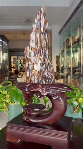 缅甸树化玉连底座总高65净高42宽16厚10重18.6斤！缅甸树化玉，#树化玉 #木化石 #硅化木 #玉石 #远古树木 #化石 #宝石 #地质奇观 #珍贵藏品 #自然瑰宝 #纹理独