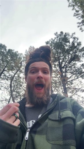 These forest spirits hit different up here in the trees #dailyaffirmations #affirmations #goodvibes