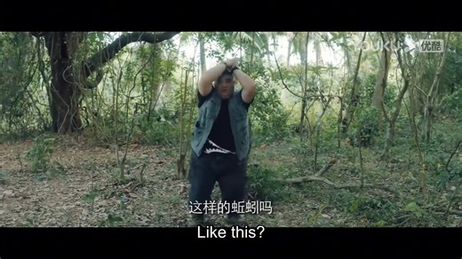 3.1M views · 79K reactions | The little girl was happily swinging on the swing, completely unaware of the danger that was about to befall her! 小女孩正在开心地荡着秋千，丝毫没有意识到危险的来临！ #陆行鲨 #landshark #优酷电影 #youkumovie | Youku Movie | Facebook