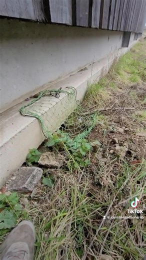 J gumble rabbit control on Reels