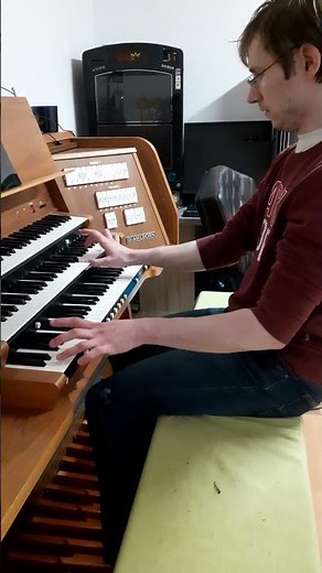 Gigi D'Agostino: L'Amour Toujours #music #orgelmusik #orgel
