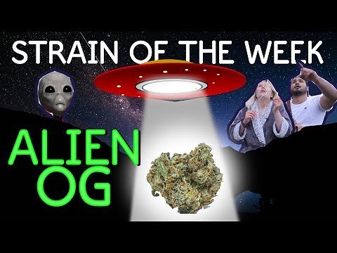 ALIEN OG!!! FUNNY Cannabis Strain Review/Spotlight, Cannabis delivery service near you