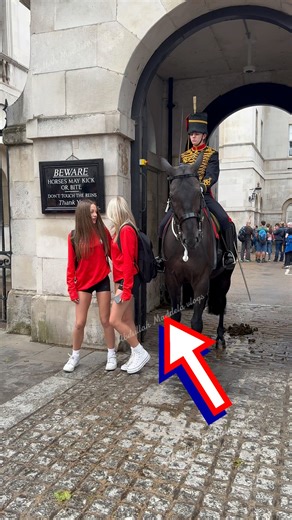 king's guard kick at tourist |Horse Guards Park | D Kings Guards