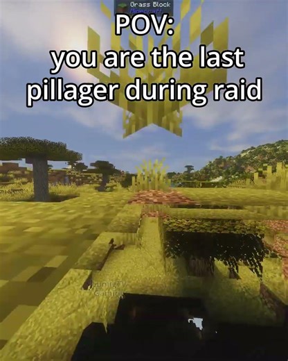 minecraft pillagers be like...