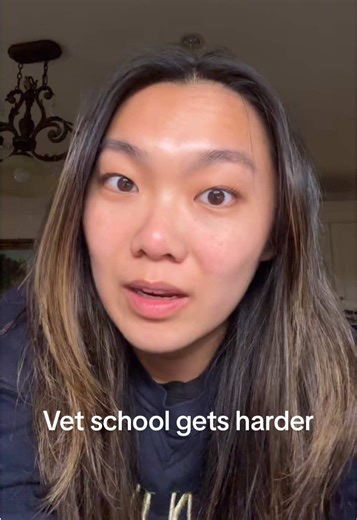 Challenges of Vet School: A Student's Journey