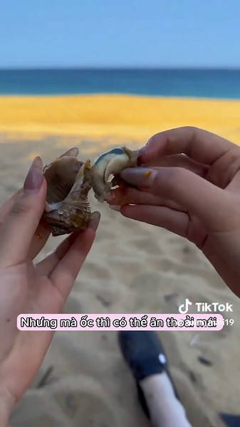 Xuân Mai Review trên TikTok