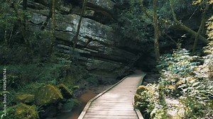 Rainforest dark cave entrance with wooden catwalk and high stone walls