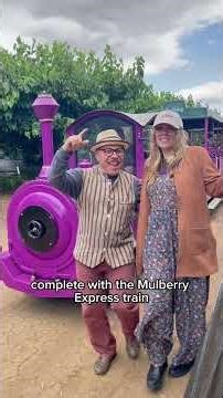 Brentwood’s Mulberry Season (And Why You Should Go Now)! Very Mulberry