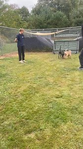 7.6K views · 31 reactions | Lulu & Karen | Homeward Bound Pet Adoption Center | Facebook