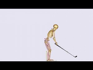 Golf swing motion analysis using C3D file