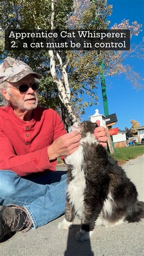 Michael Rutter on Reels