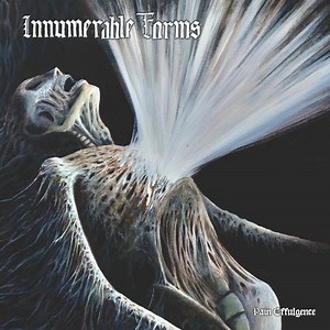 Innumerable Forms – Pain Effulgence (2025) » download by NewAlbumReleases.net