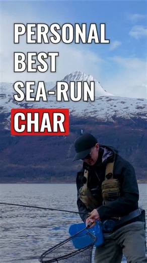 Big Sea-Run Char! New PB on the Fly