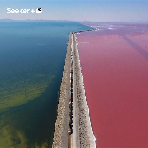 The Great Salt Lake has two uniquely colored sides. | Seeker by The Verge