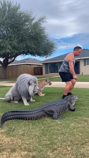 2.3K views · 6.3K reactions | Gators and Cats浪 #tyrus #reels #actor #alligator #wildlife #crazy #viral #fetch #pet #train #teacher #fblifestyle | Tyrus Craig | Facebook