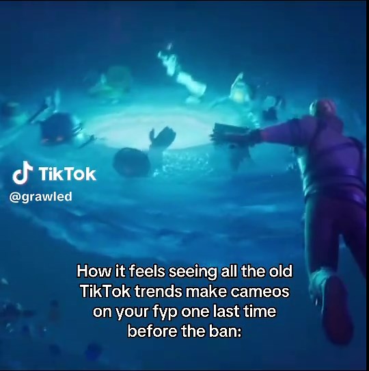 Reflecting on 6 Years of TikTok Trends Before The Ban