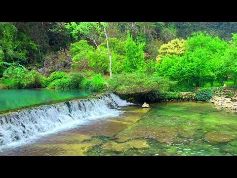 Nature Sounds for Meditation, Nature Sounds for Sleeping, Water Sounds and Birds Chirping, ASMR