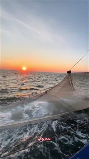 🦐 بداية صيد الروبيان بشباك الجر في أعالي البحار 🌊 لحظة إطلاق الشبكة