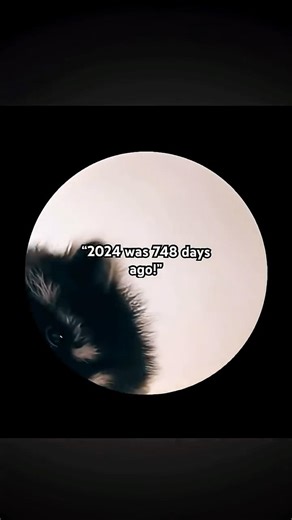 Back in the good ‘ol days✨💭#shortsvideo #fyp