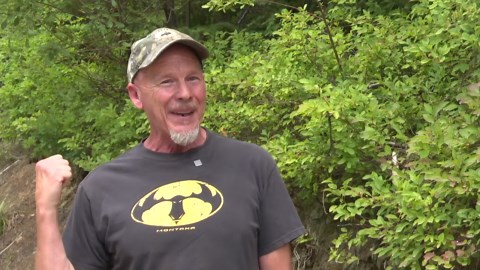 Picking and protecting prized huckleberries a way of life for Montanans