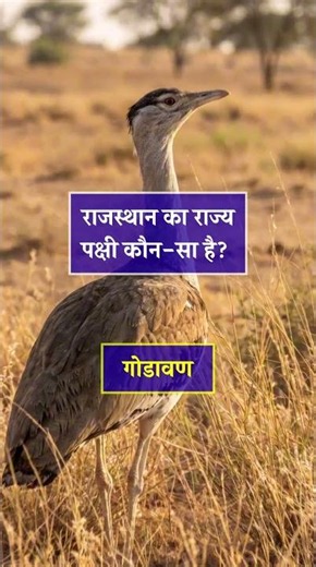 Remember these 12 questions from Rajasthan. 🤔 #unseengk #gkinhindi