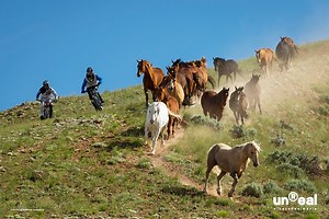 New Film Project: unReal